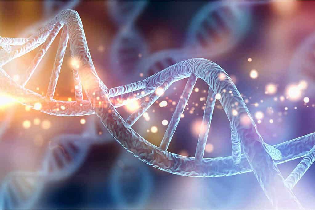 Theta Healing Basis DNA Seminare und Ausbildungen Basis Seminar Grundausbildung